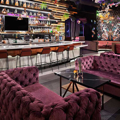 Velvet Purple Club Lounge Sofa Classic Button Tufting Bistro Sofa